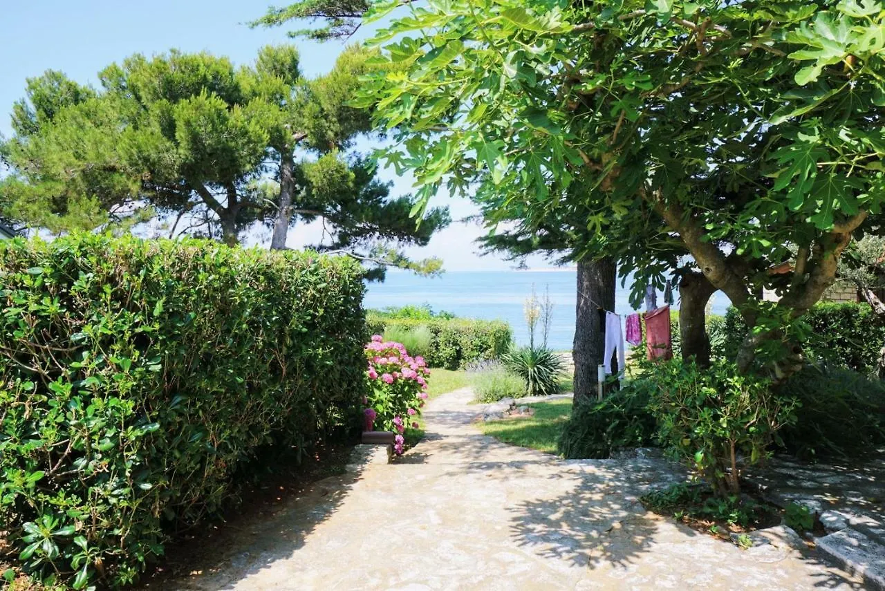Villa Ana Savudrija 3*,  Croácia