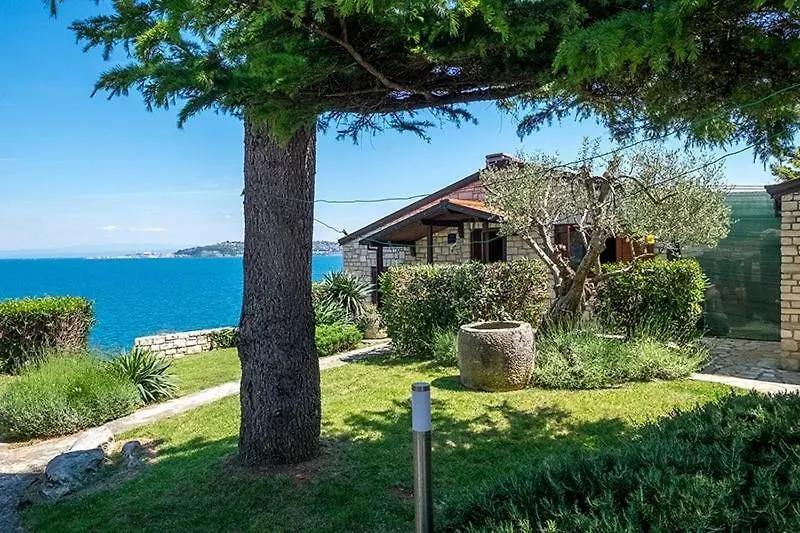 Villa Ana Savudrija 3*,